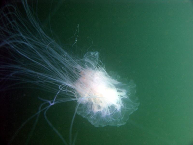 2009-05-02 08-13-43L.JPG